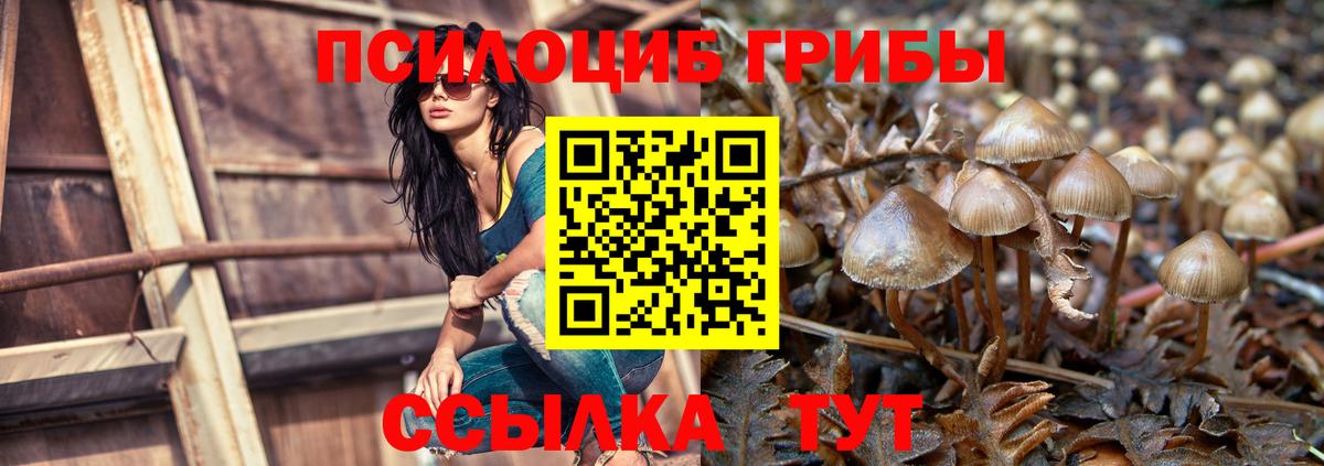 Псилоцибиновые грибы мухоморы Орехово-Зуево